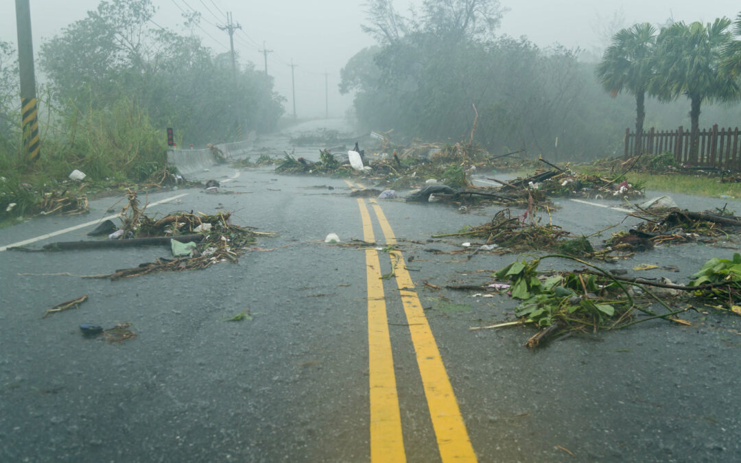 Verifying hyper-local wind speeds with a new wind algorithm